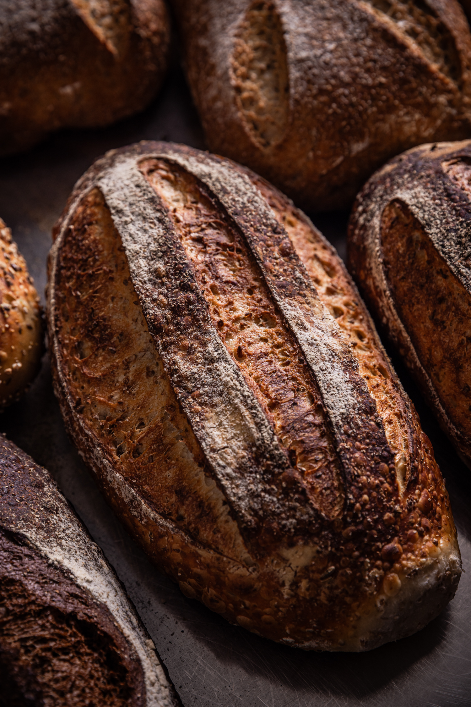 Sourdough loaf of bread surrounded by various types of loaves on bakery bench